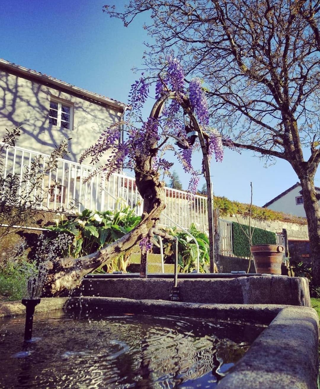 Apartamento A Casa Da Parrula Santiago de Compostela Exterior foto